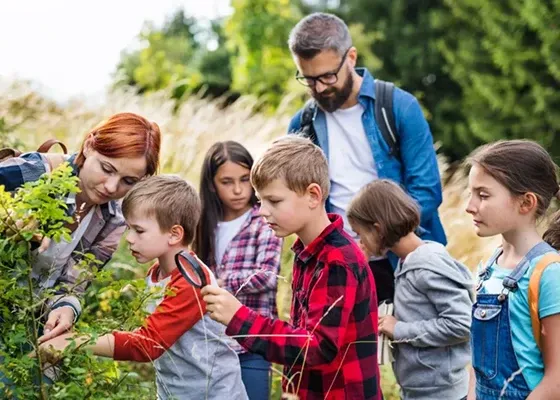 School Trips, Our Services